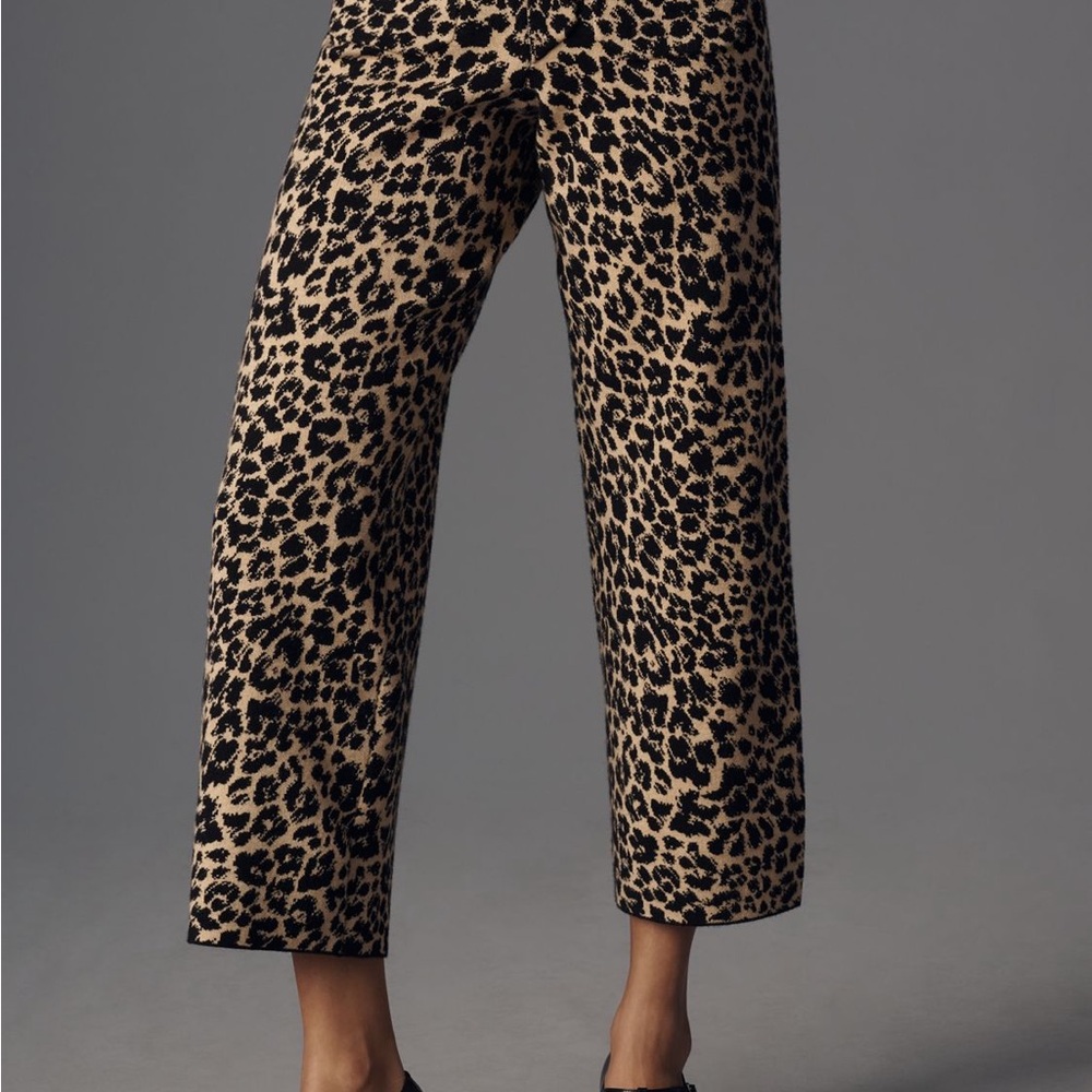 Leopard Print Pants - Picture 5 of 6
